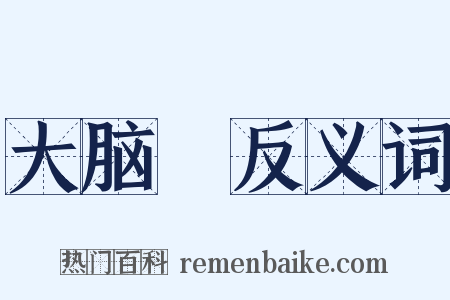 大脑殻反义词是什么意思的图片